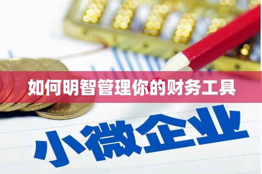 清浦如何明智管理你的财务工具