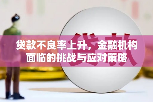 清浦贷款不良率上升，金融机构面临的挑战与应对策略