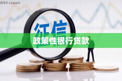 清浦政策性银行贷款