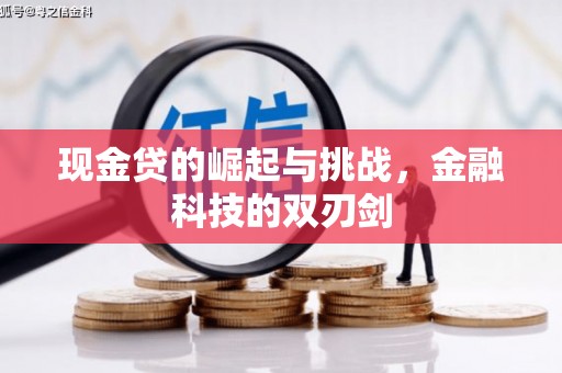 清浦现金贷的崛起与挑战，金融科技的双刃剑