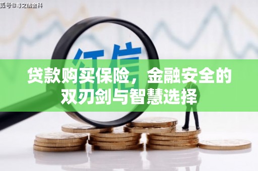 清浦贷款购买保险，金融安全的双刃剑与智慧选择