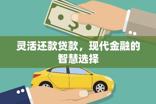 清浦灵活还款贷款，现代金融的智慧选择