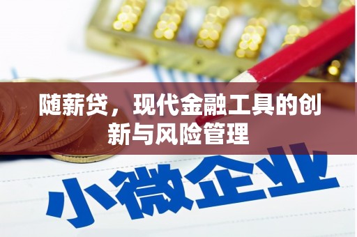 清浦随薪贷，现代金融工具的创新与风险管理