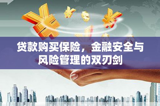 清浦贷款购买保险，金融安全与风险管理的双刃剑