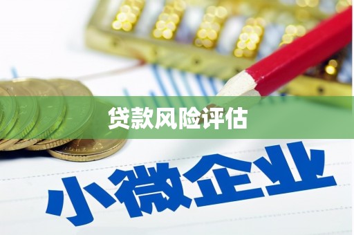 清浦贷款风险评估