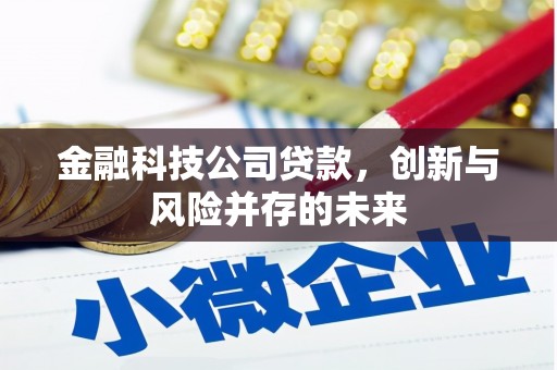 清浦金融科技公司贷款，创新与风险并存的未来