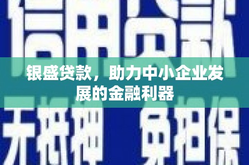 清浦银盛贷款，助力中小企业发展的金融利器