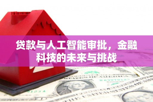 清浦贷款与人工智能审批，金融科技的未来与挑战