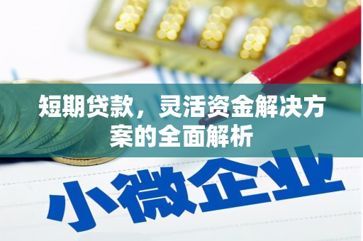 清浦短期贷款，灵活资金解决方案的全面解析