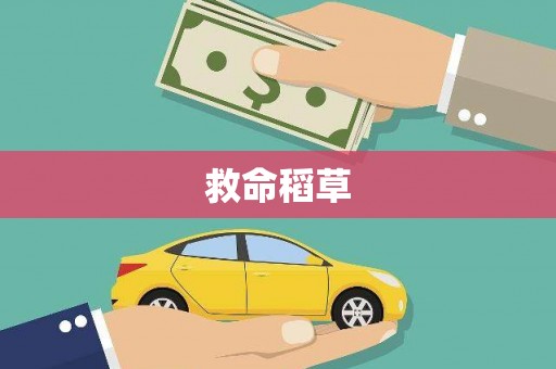 清浦救命稻草