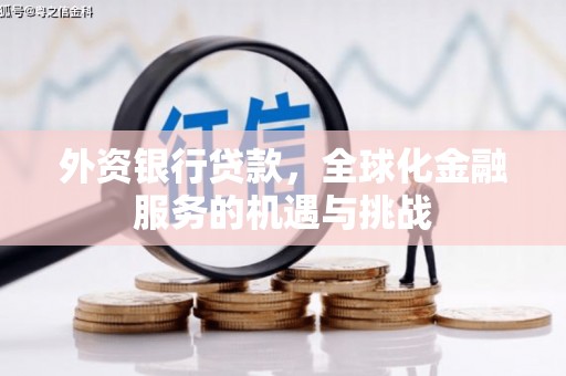 清浦外资银行贷款，全球化金融服务的机遇与挑战
