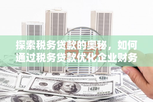 清浦探索税务贷款的奥秘，如何通过税务贷款优化企业财务