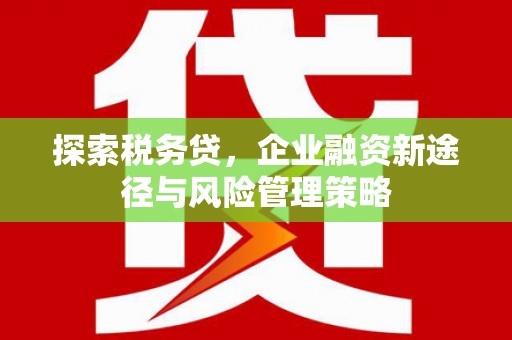 清浦探索税务贷，企业融资新途径与风险管理策略