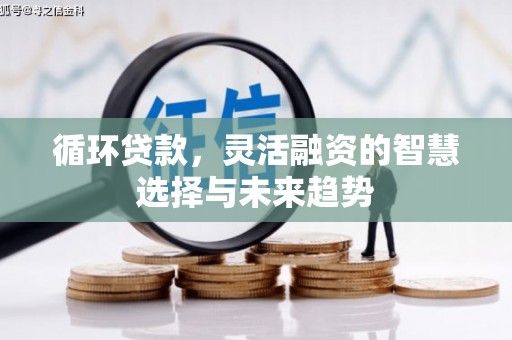清浦循环贷款，灵活融资的智慧选择与未来趋势