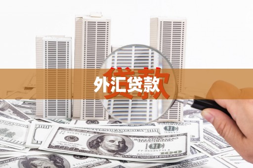 清浦外汇贷款