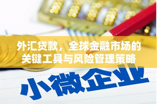 清浦外汇贷款，全球金融市场的关键工具与风险管理策略