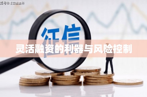 清浦灵活融资的利器与风险控制