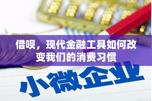 清浦借呗，现代金融工具如何改变我们的消费习惯
