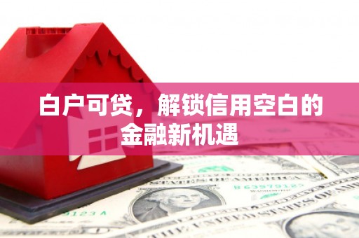 清浦白户可贷，解锁信用空白的金融新机遇