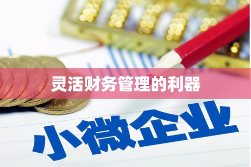 清浦灵活财务管理的利器
