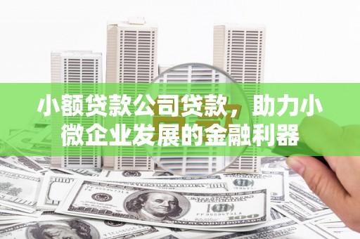 清浦小额贷款公司贷款，助力小微企业发展的金融利器