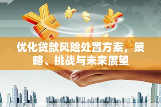 清浦优化贷款风险处置方案，策略、挑战与未来展望