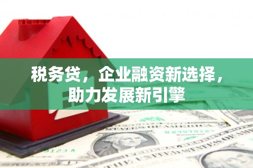 清浦税务贷，企业融资新选择，助力发展新引擎