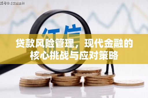 清浦贷款风险管理，现代金融的核心挑战与应对策略