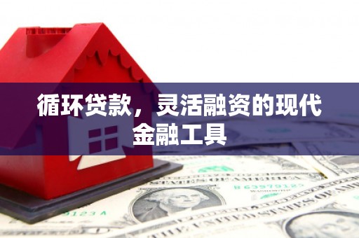 清浦循环贷款，灵活融资的现代金融工具