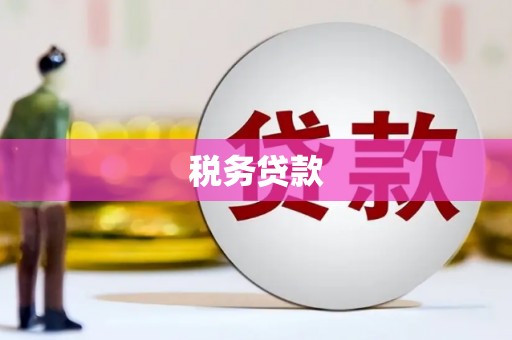 清浦税务贷款
