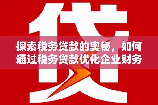 清浦探索税务贷款的奥秘，如何通过税务贷款优化企业财务