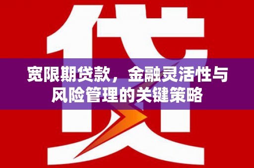 清浦宽限期贷款，金融灵活性与风险管理的关键策略