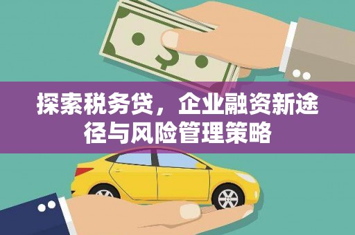 清浦探索税务贷，企业融资新途径与风险管理策略