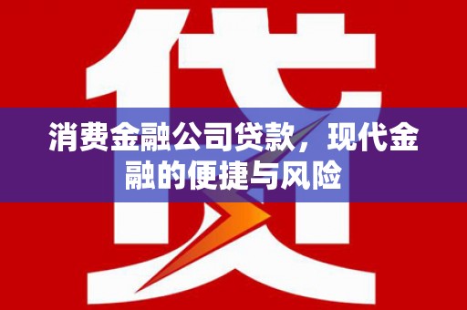 清浦消费金融公司贷款，现代金融的便捷与风险