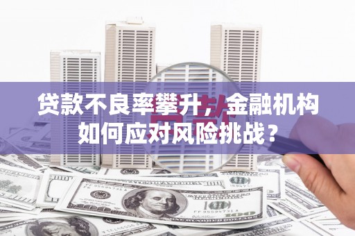 清浦贷款不良率攀升，金融机构如何应对风险挑战？