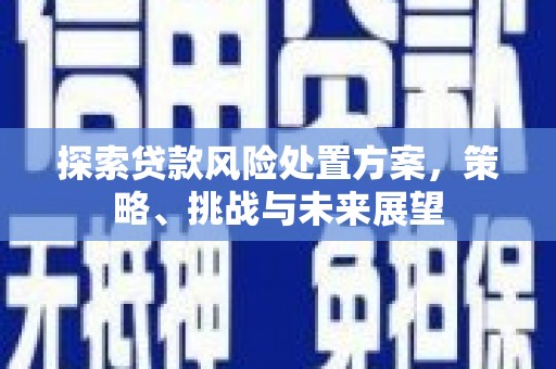 清浦探索贷款风险处置方案，策略、挑战与未来展望