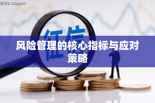 清浦风险管理的核心指标与应对策略