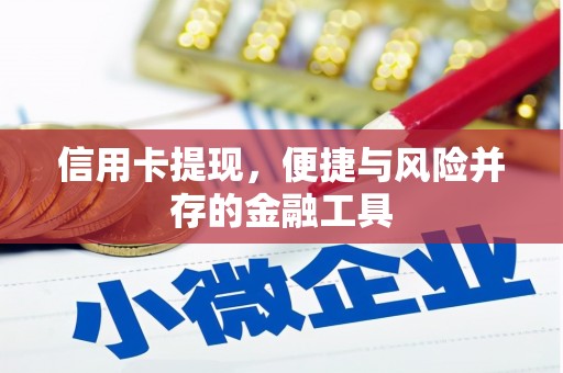 清浦信用卡提现，便捷与风险并存的金融工具