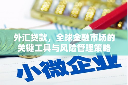 清浦外汇贷款，全球金融市场的关键工具与风险管理策略