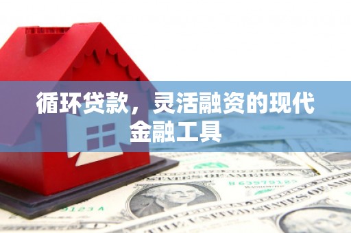 清浦循环贷款，灵活融资的现代金融工具