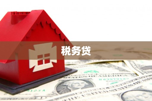 清浦税务贷