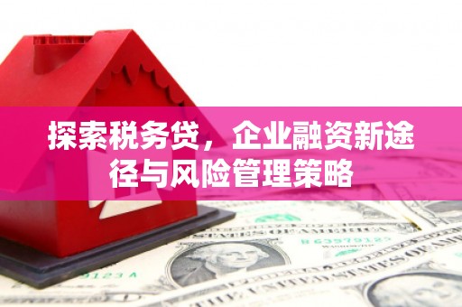 清浦探索税务贷，企业融资新途径与风险管理策略