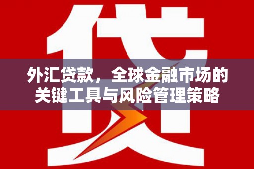清浦外汇贷款，全球金融市场的关键工具与风险管理策略