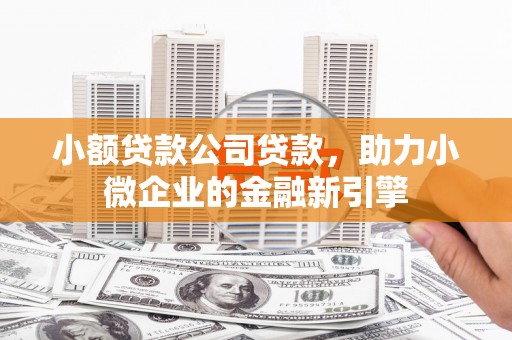 清浦小额贷款公司贷款，助力小微企业的金融新引擎