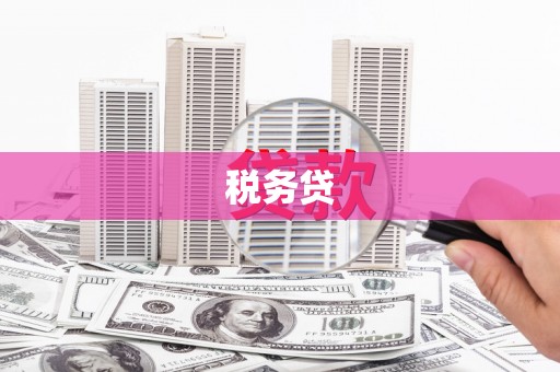 清浦税务贷