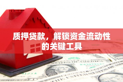 清浦质押贷款，解锁资金流动性的关键工具