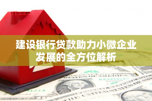 清浦建设银行贷款助力小微企业发展的全方位解析