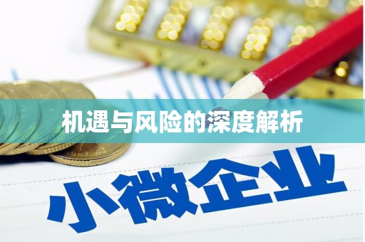 清浦机遇与风险的深度解析