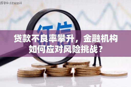 清浦贷款不良率攀升，金融机构如何应对风险挑战？