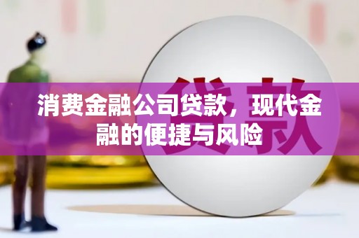 清浦消费金融公司贷款，现代金融的便捷与风险